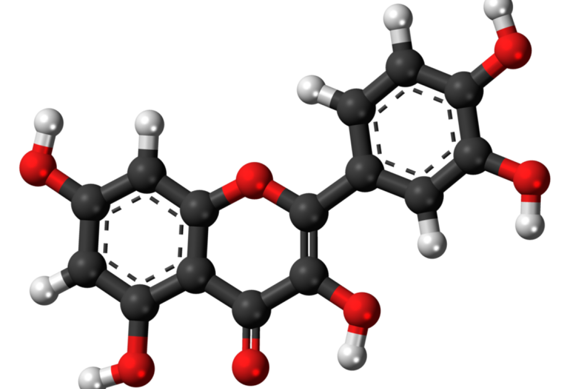 Molecole naturali contro il cancro