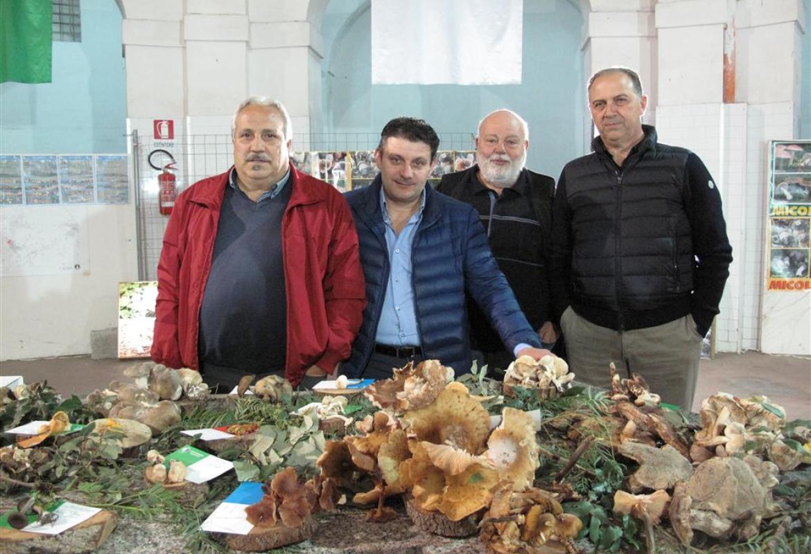 A Galatina tutti i funghi del Salento