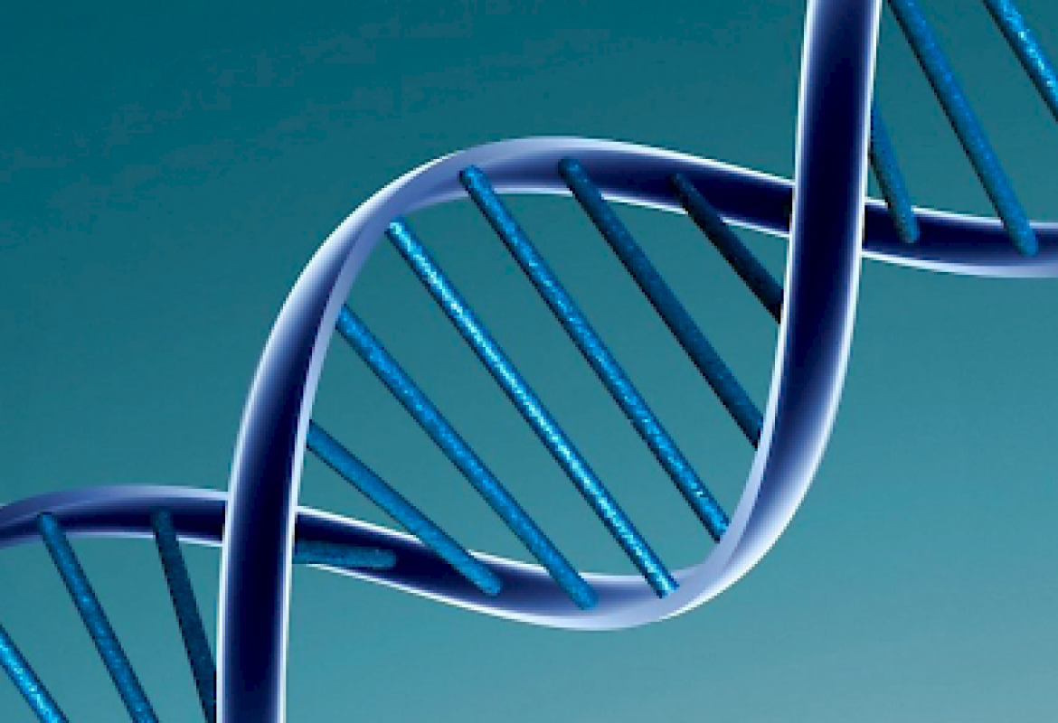 Identificato un nuovo gene che ripara il DNA