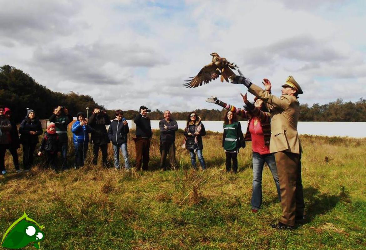 Carnevale al Museo di Calimera