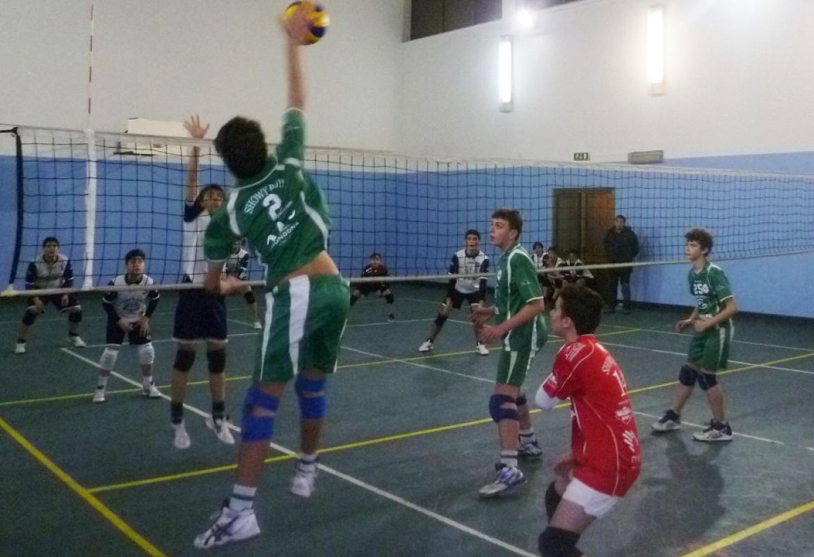 Ottimi risultati delle giovanili Showy-boys