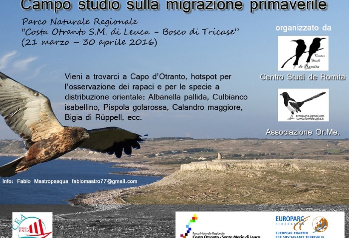 Uccelli migratori, un campo studi nel Parco Costa Otranto Santa Maria di Leuca – Bosco di Tricase
