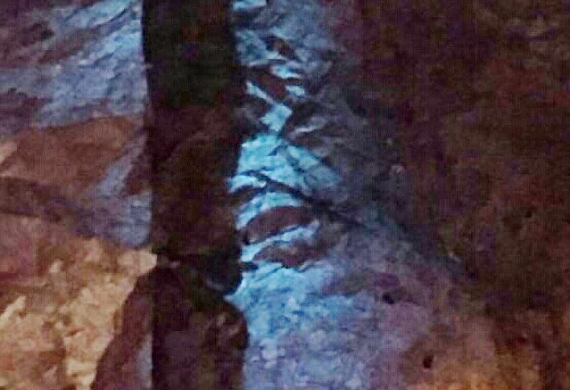 Quel volto di Cristo impresso sulla carta 