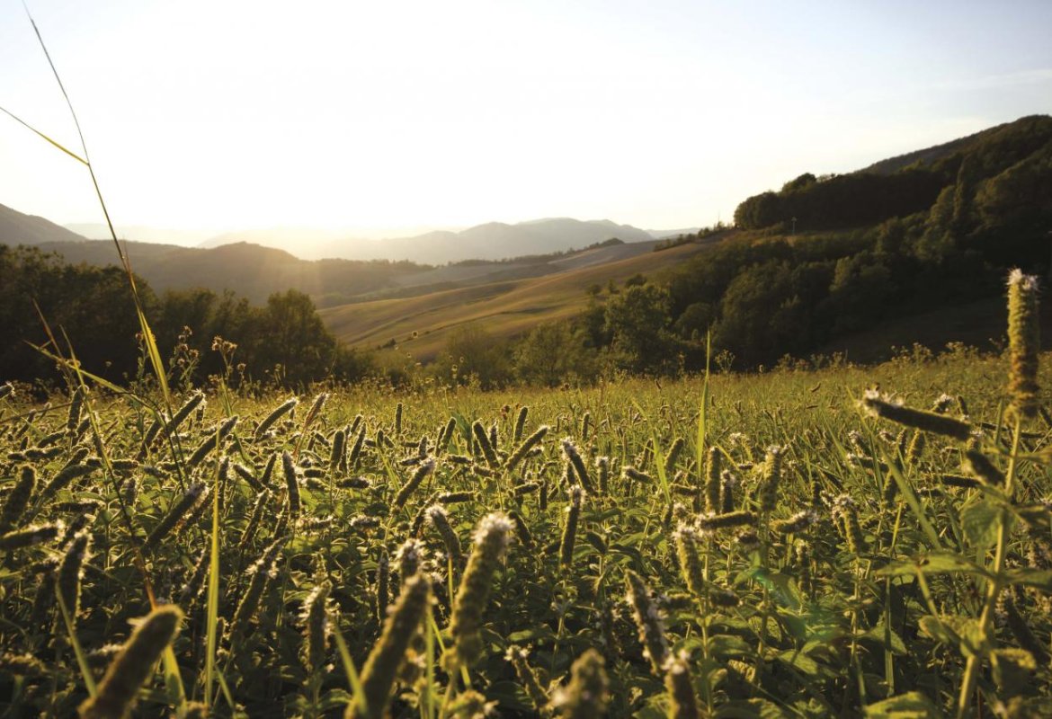 Preferire il cielo alla terra