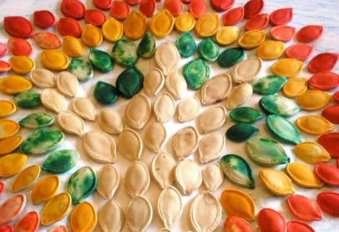 Karpofor 2014, oggi la Giornata Ecologica