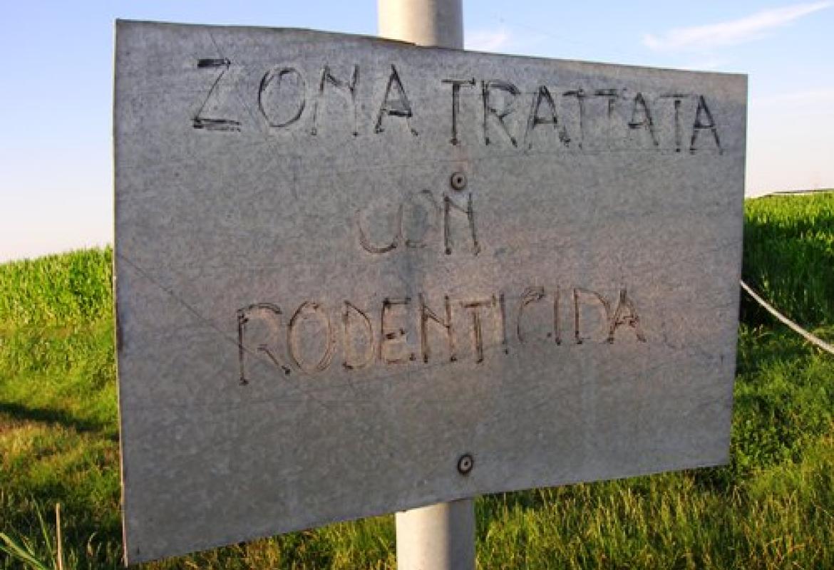 Basta veleni nelle campagne di Galatina!