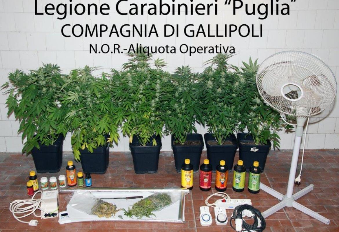 Coltivava marijuana in casa, arrestato galatinese