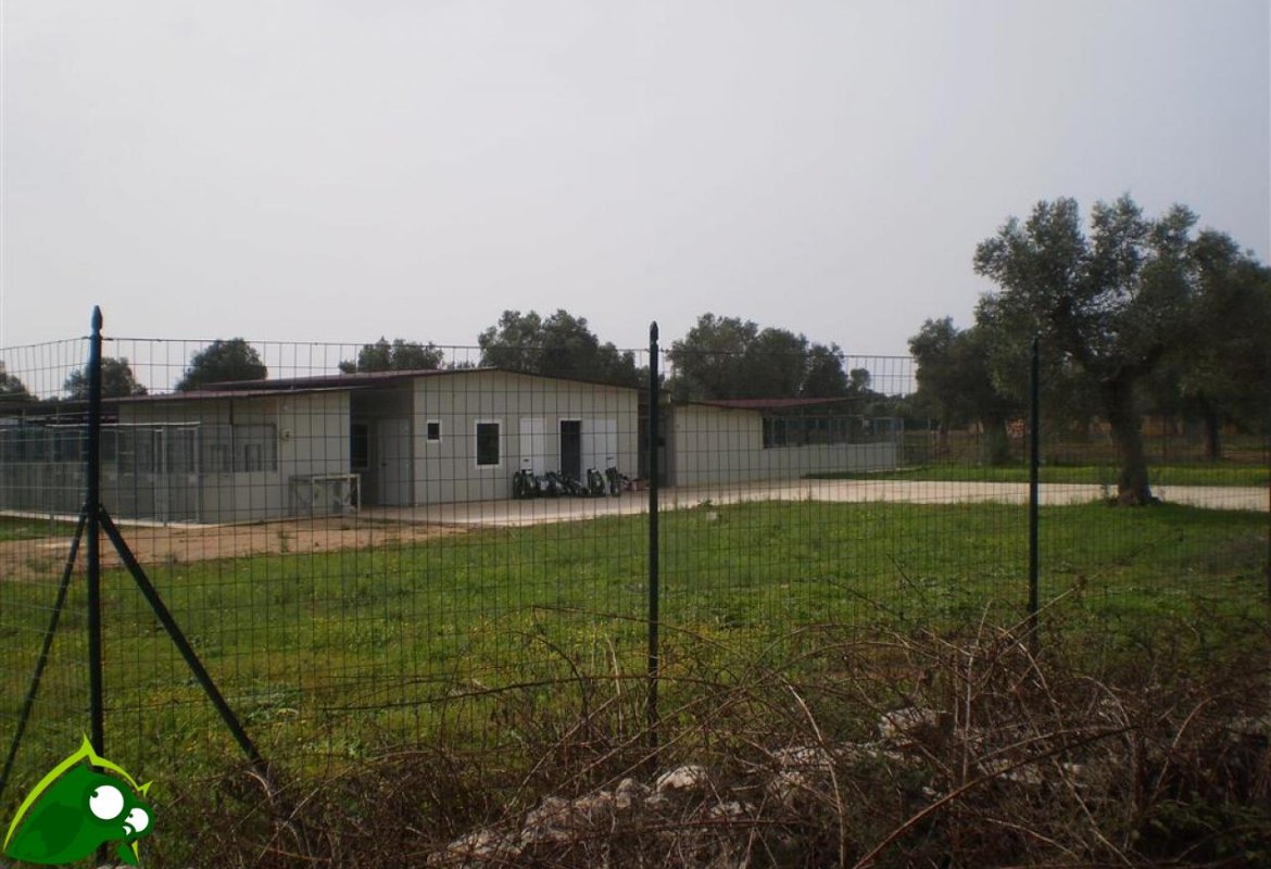 Il Sindaco ordina la chiusura del canile comunale di Contrada Latronica e il trasferimento dei cani