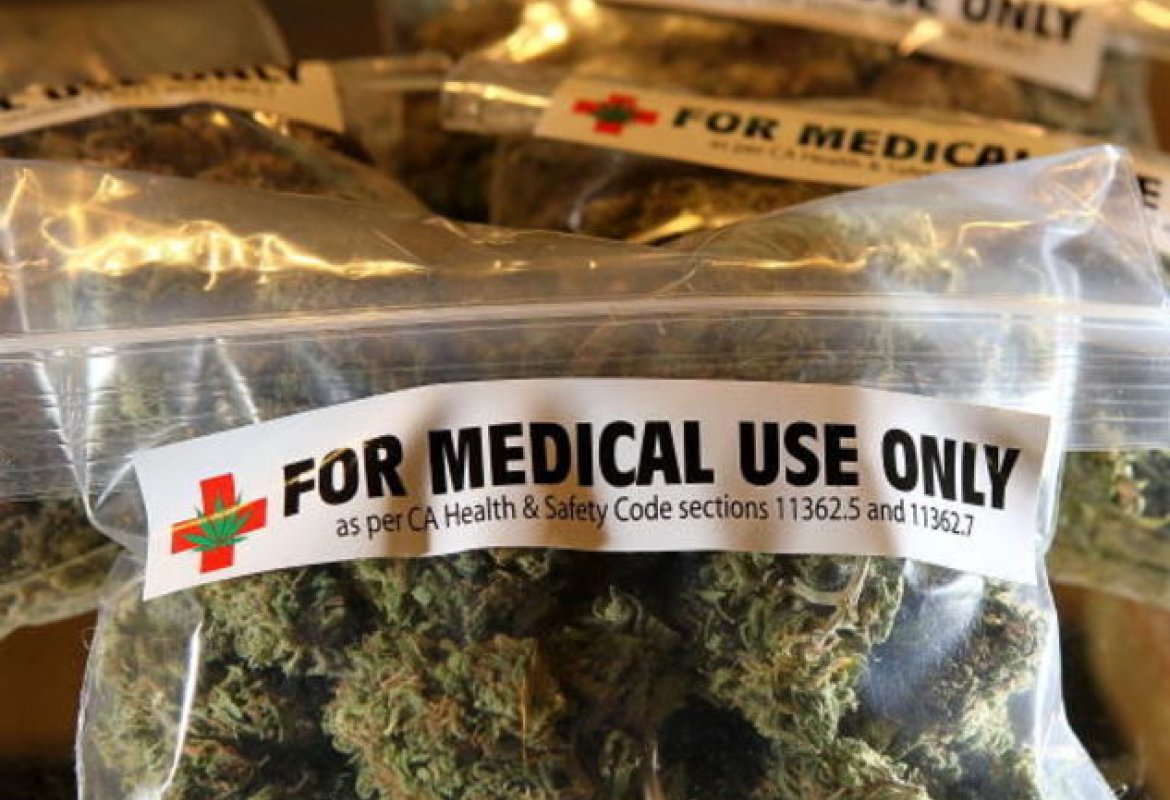 La cannabis per curarsi, in Puglia è realtà