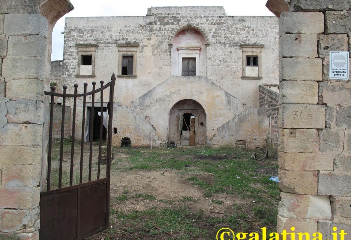 Tre randagi fanno strage di pecore intorno all'aeroporto di Galatina