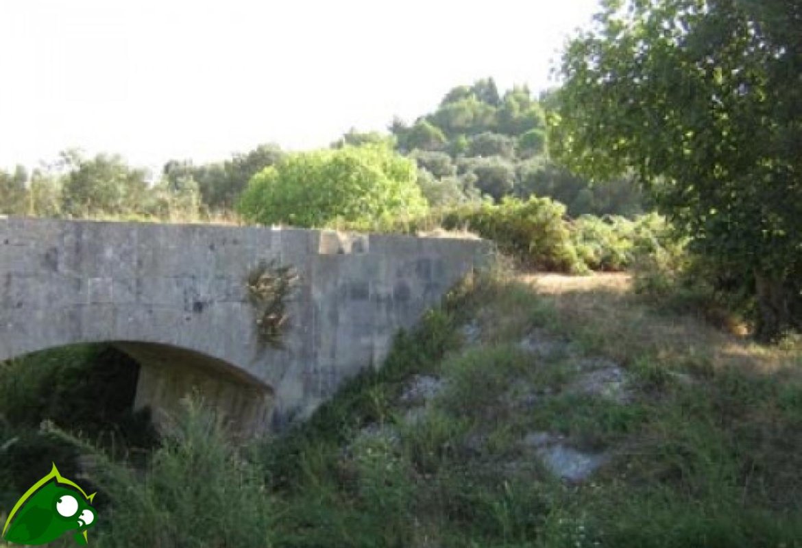 150 ragazzi alla passeggiata dell'amicizia