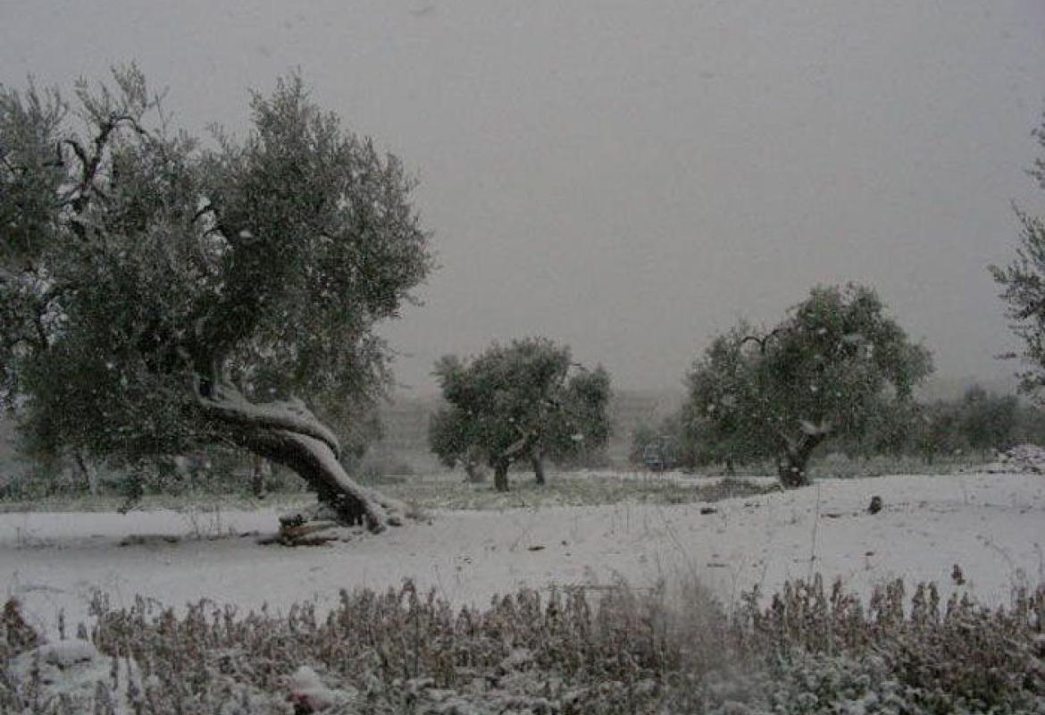 &quot;Si tratta di te&quot;