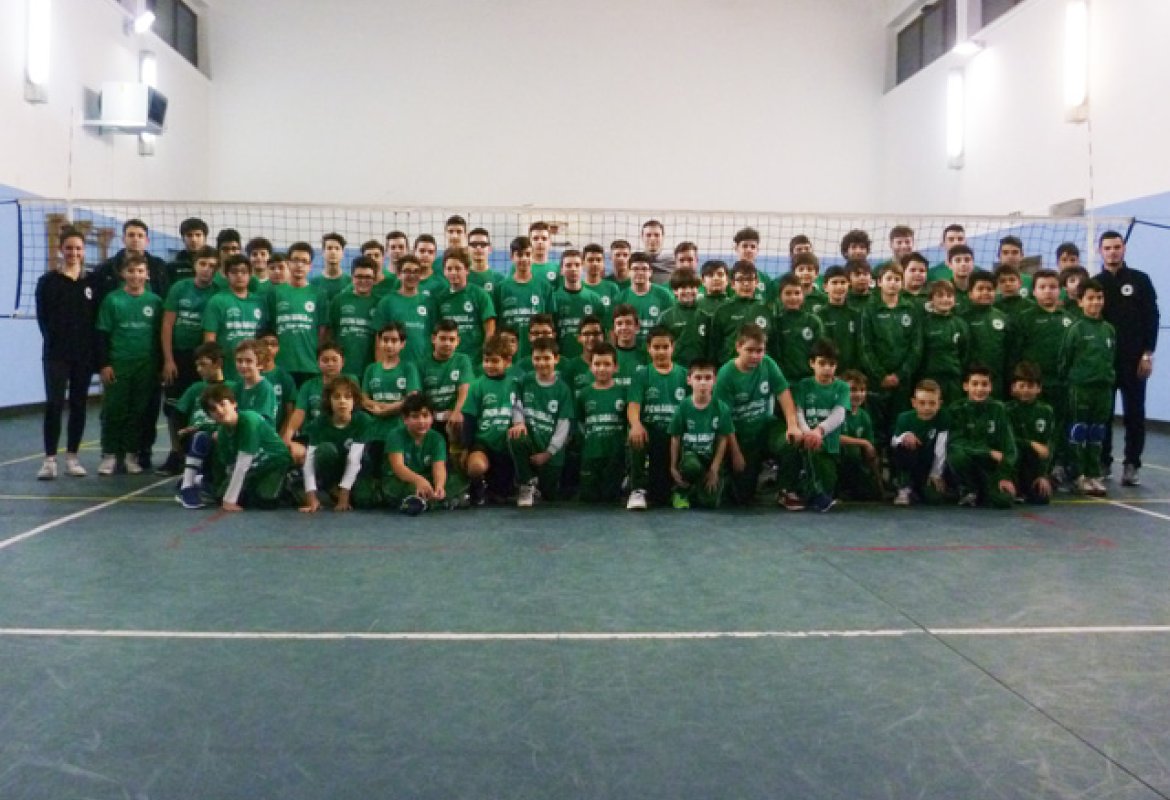 Showy, un ottimo bilancio di stagione