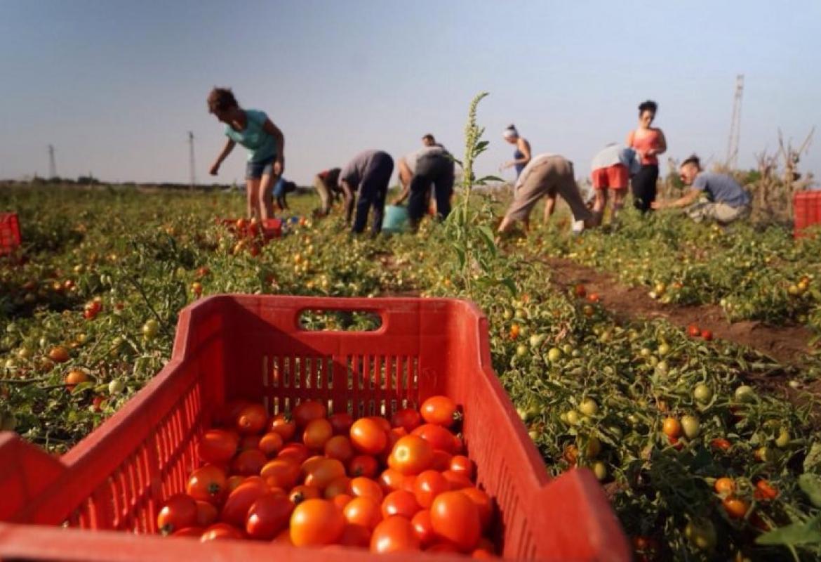 Attivato presidio medico per lavoratori migranti
