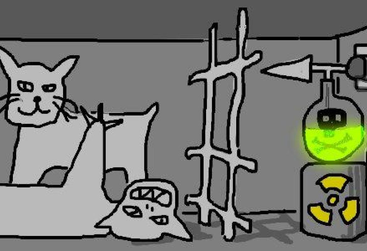 Il gatto di Schrödinger fra la vita e la morte