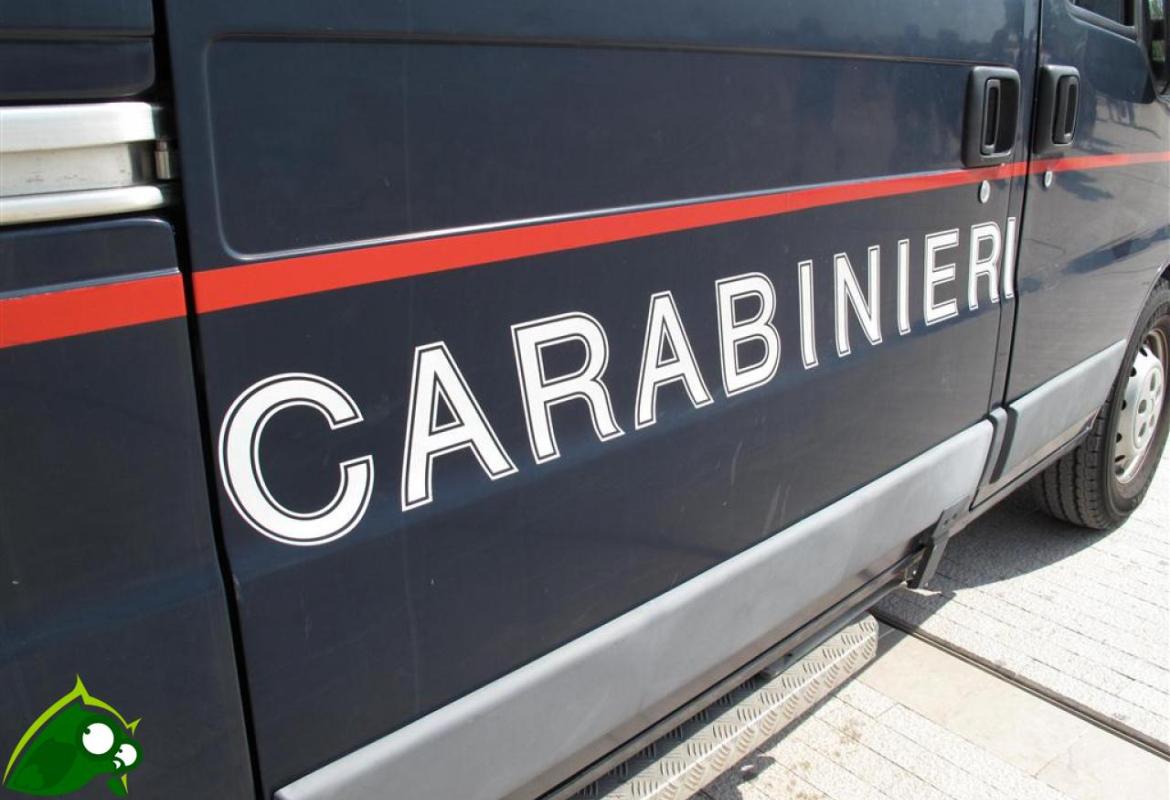 Rapina a Collemeto, arrestati i due presunti autori