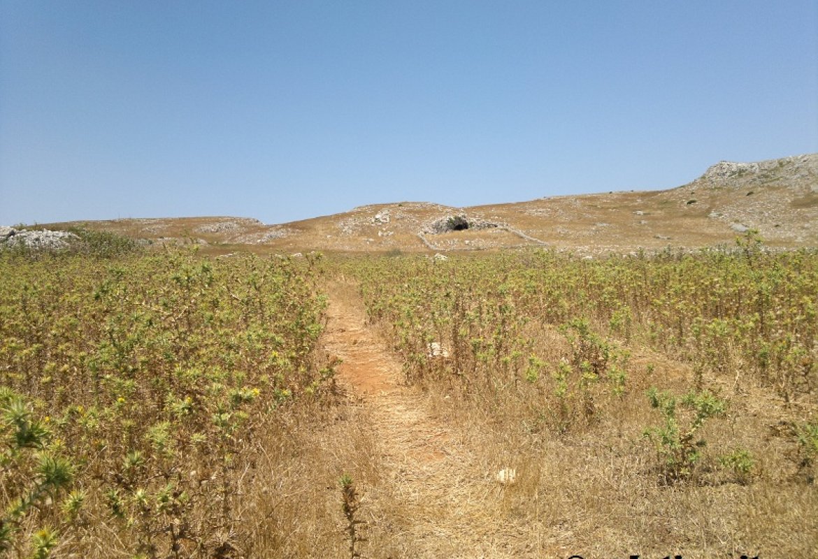 Una giornata alternativa