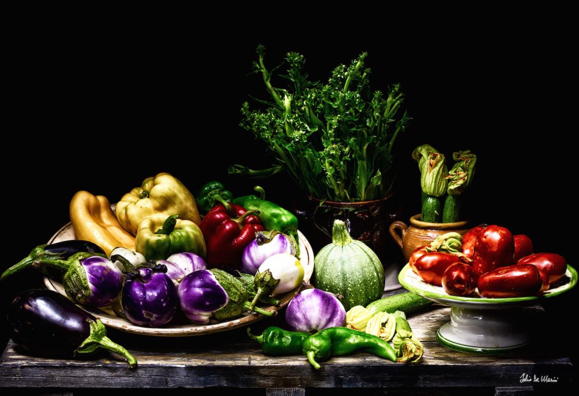 Naturarte, nel Castello di Gallipoli la mostra fotografica