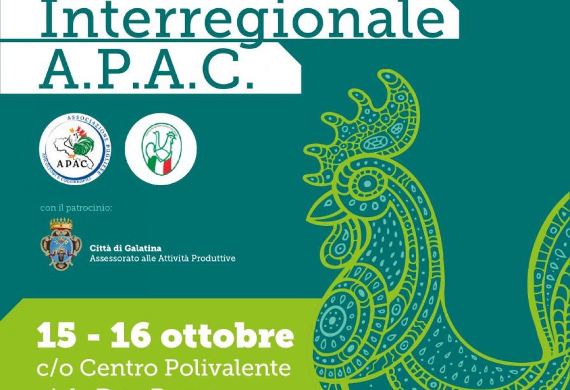 A Galatina la seconda mostra avicola e colombofila interregionale