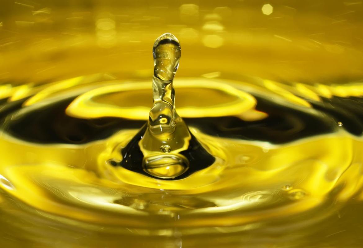 L'Olio Extravergine fa Festa