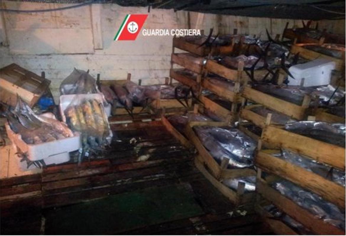 Sequestrati 871 esemplari di tonno rosso