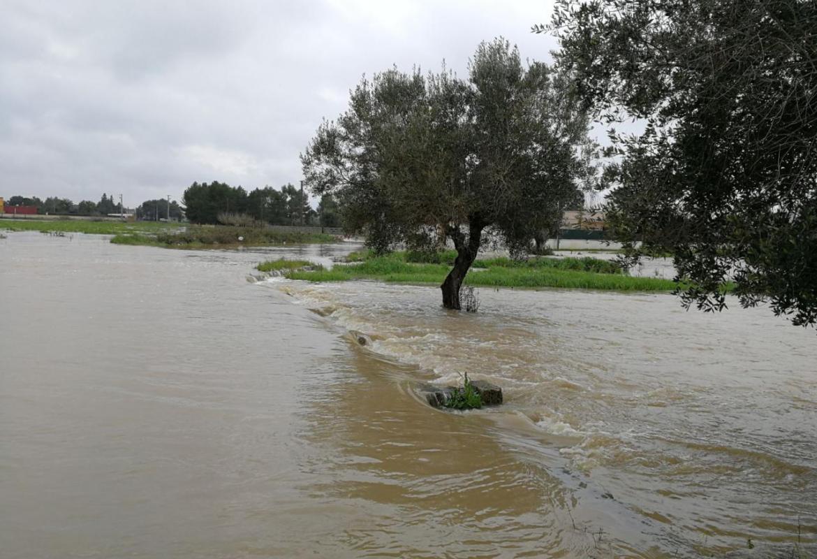 Esondazione torrente Asso 26 febbraio 2018