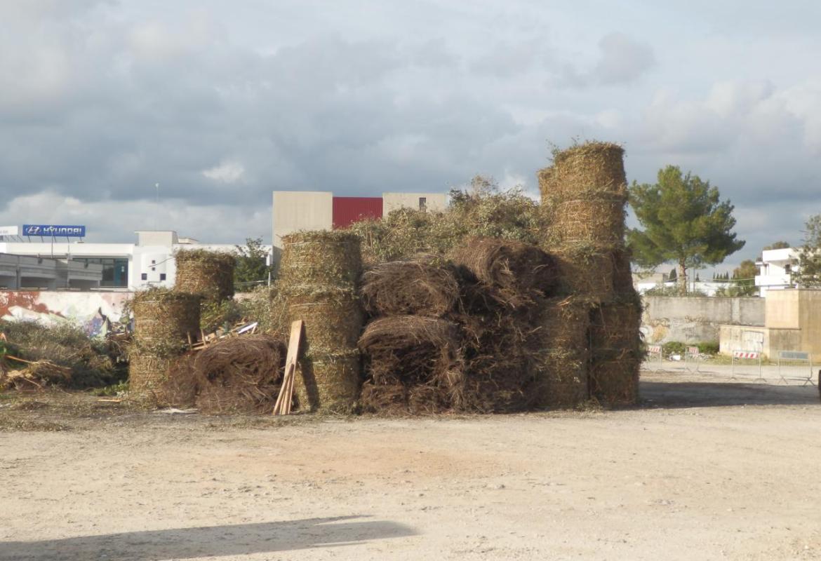 Ricostruita più grande la focara di Maglie distrutta dai vandali