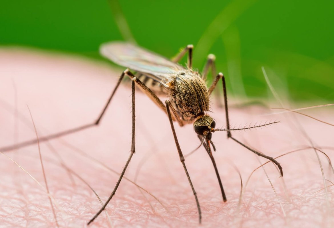 Foto Fondazione Alberto Veronesi