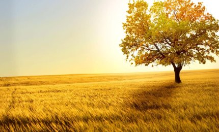 Natura: madre generosa o spietata matrigna?