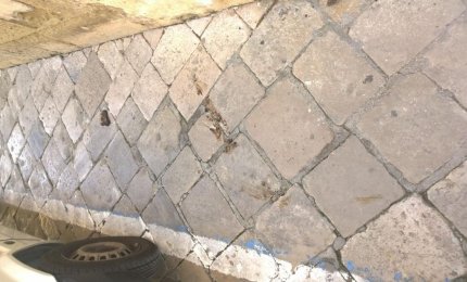 "Papà, chi fa la cacca per strada?"