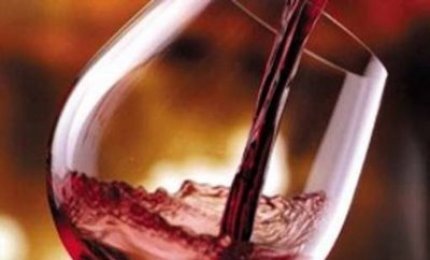 Approvato il Testo Unico del Vino