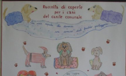 Raccolta di coperte per "morbidosi" cuccioli