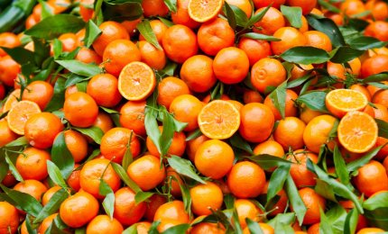 Crollano i prezzi degli agrumi in campagna e salgono nei mercati