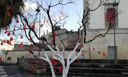 “Dall’Albero di Aleppo all’Albero della vita – Pratiche di pace”