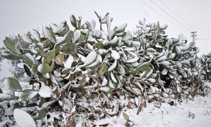 Buttate il cuore in mezzo al bianco