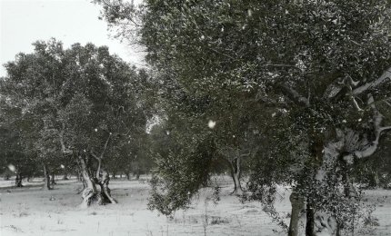 "Non mettetevi in viaggio!" Allarme neve in tutto il Salento