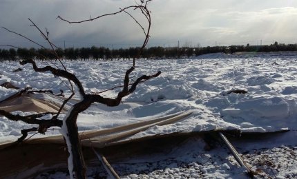 Colture distrutte, Galatina fra le zone più colpite