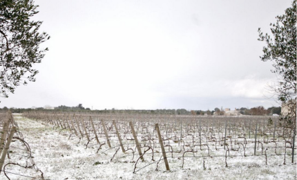 Neve, dalle Marche al Salento passando da "Radio Azzurra"