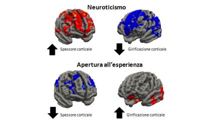 "Dimmi che forma ha il tuo cervello e ti dirò chi sei"