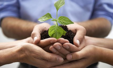 Salute e rispetto per l'ambiente si imparano a scuola