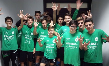 Showy impegnata su più fronti