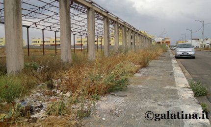 "Appuntamento al Ponte Picaleo per pulire le campagne galatinesi"