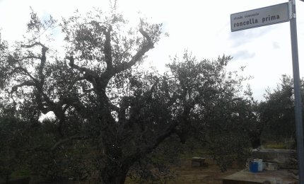 I residenti in via Roncella prima tornano alla carica