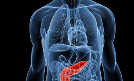 Tumore al pancreas, speranze da un farmaco antipsicotico