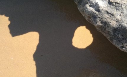 "Pensavo fra me e me"