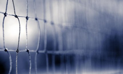 Gli under 16 della Showy accedono alla Final Four