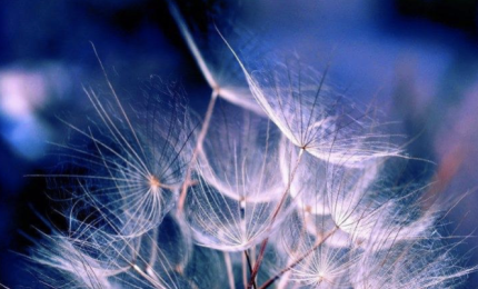 Un istruttore per la respirazione alla Zen Shin