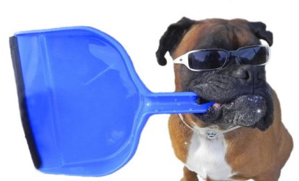 Firmata una convenzione con le Guardie Zoofile, dovranno sanzionare anche chi non raccoglie le deiezioni del proprio cane