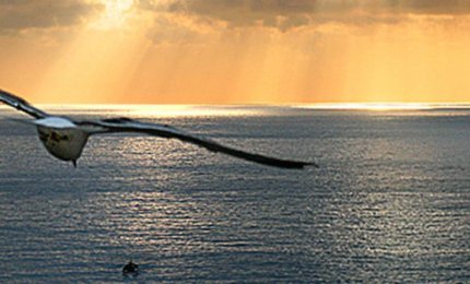 "Io sono con voi tutti i giorni"