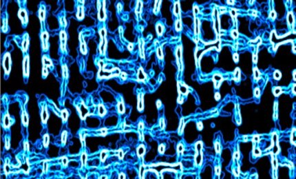 Le cellule cardiache studiate pensando alle rocce